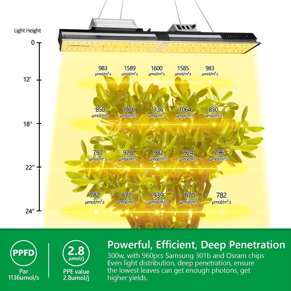 Mars Hydro SP 3000 Samsung LM301B Osram 300W LED Grow Light