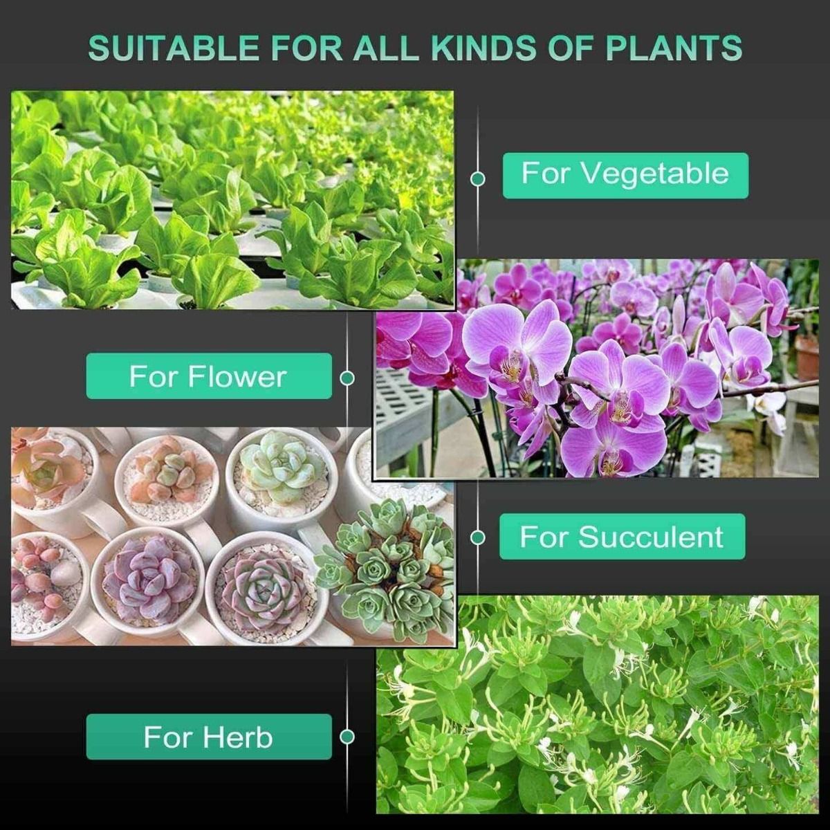 Mars Hydro SP 150 Full Spectrum 140W LED Grow Light