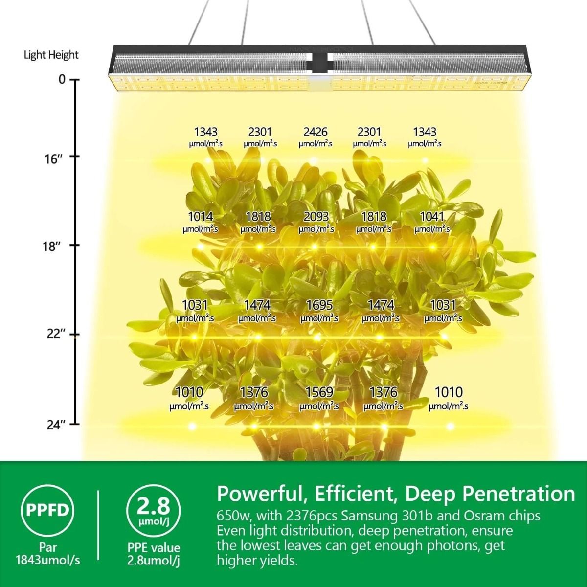 Mars Hydro SP 6500 Samsung LM301B Osram 650W CO2 Greenhouse LED Grow Light